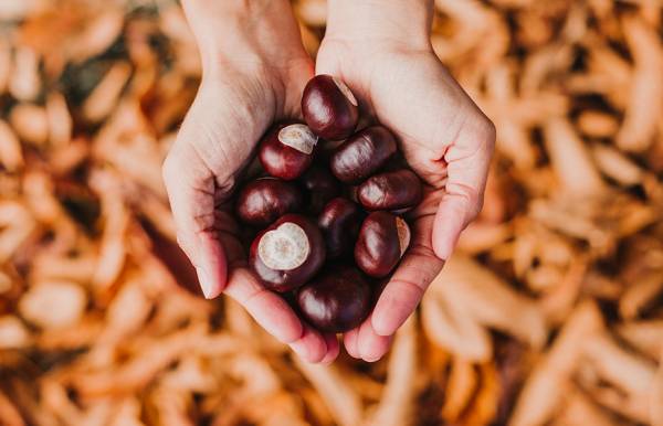 Ottobre, nel pieno dell'Autunno